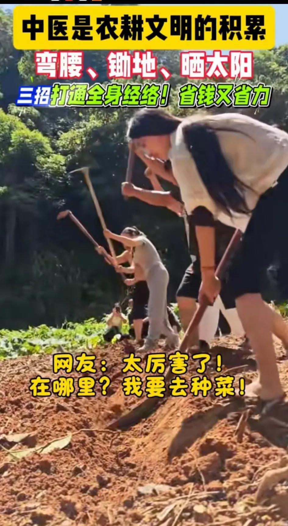专家说了，我们要多参加劳动，弯腰，锄地，晒太阳能打通全身经络，有助于锻炼身体！省