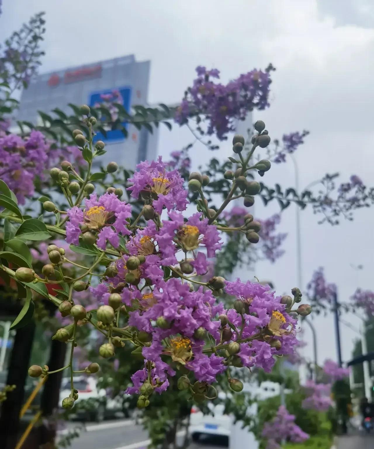 今天刷到个帖子，看得我眼眶发热。一个阿姨老伴走了五年，还坚持每月给乡下婆婆打生活