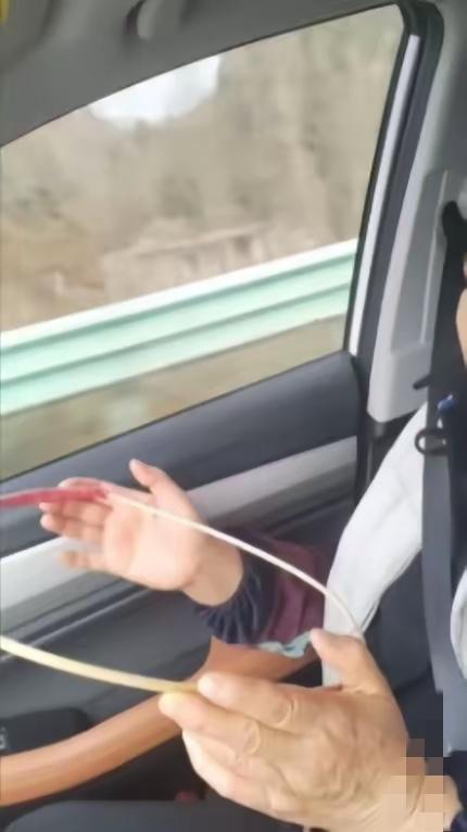 真的被浙江这个儿子暖到了！谁能想到，困扰妈妈几十年的晕车，竟被一根树枝轻松解