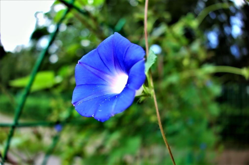 前面带了一个南京12中的孩子，这个孩子压根都没考上这个学校，可见能力有多差，但是