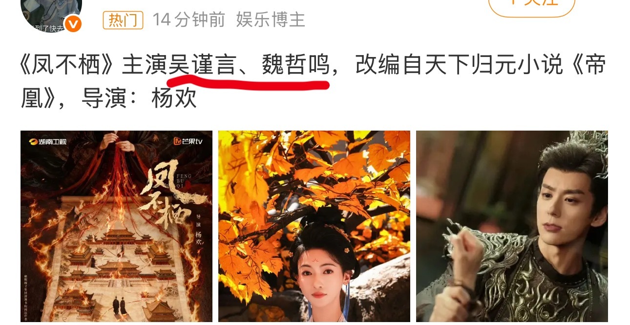 感觉于歪又要多一个深柜