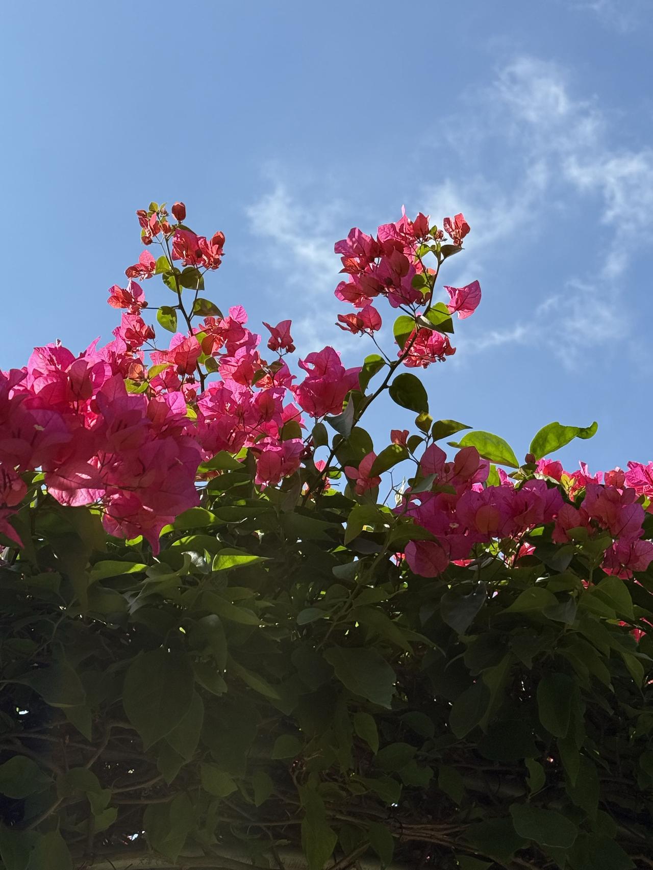 @国务院  2026年《政府工作报告》做好这6大民生实事 12月10日，2