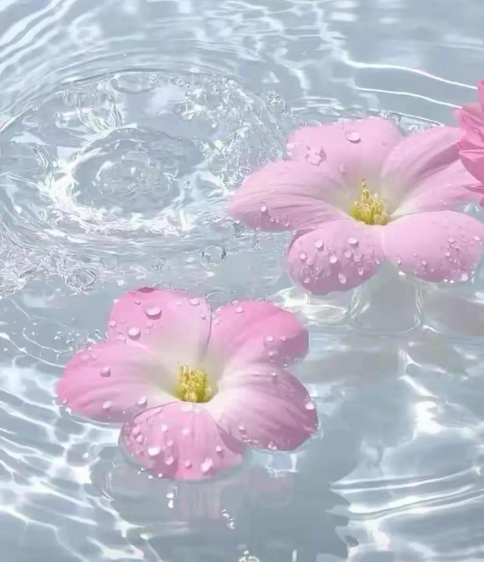 有一种女人天生很坏，这种女人自以为是，在整个家族中，生活的优胜者。谁都没