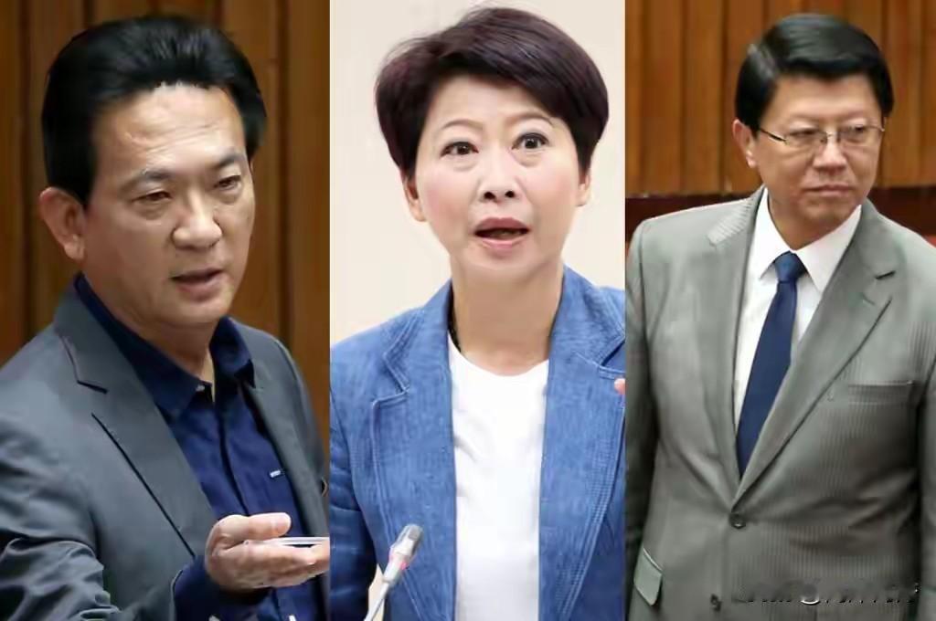 郑丽文爆料赖清德不喜陈亭妃，林俊宪当场反驳，蓝绿节目激烈交锋。绿营内讧藏不住，政