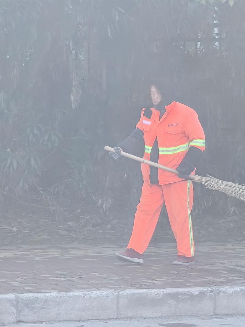 山东39岁大姐清晨扫街，突然听见绿化带里有哼唧声。她扒开冬青丛一看，有个穿校服的