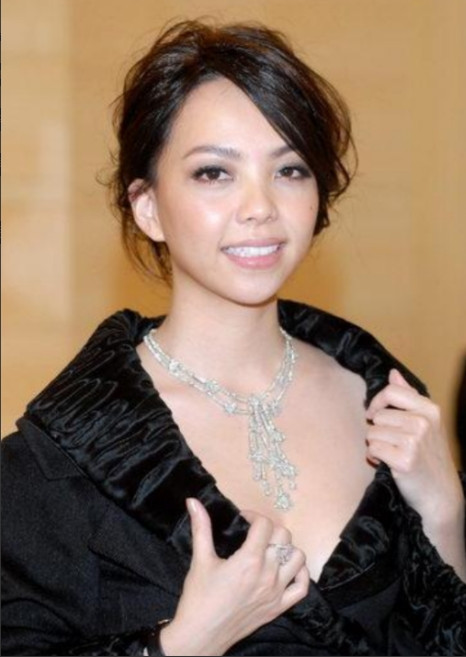 2010年，37岁的张惠妹对31岁的酒吧调酒师一见钟情，她为他砸下1500万，决