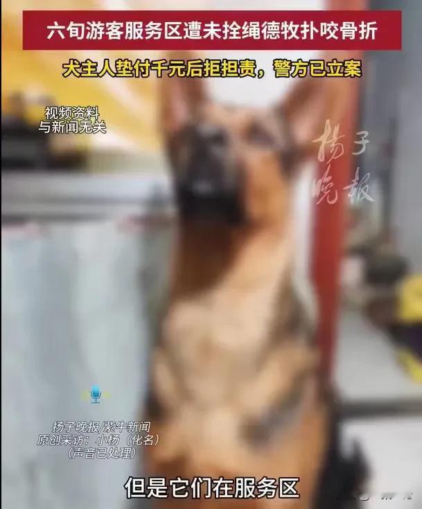 云南罗平，六旬女子在服务区休息时，被一只没有栓绳的牧羊犬，扑咬摔倒，受伤非常严重