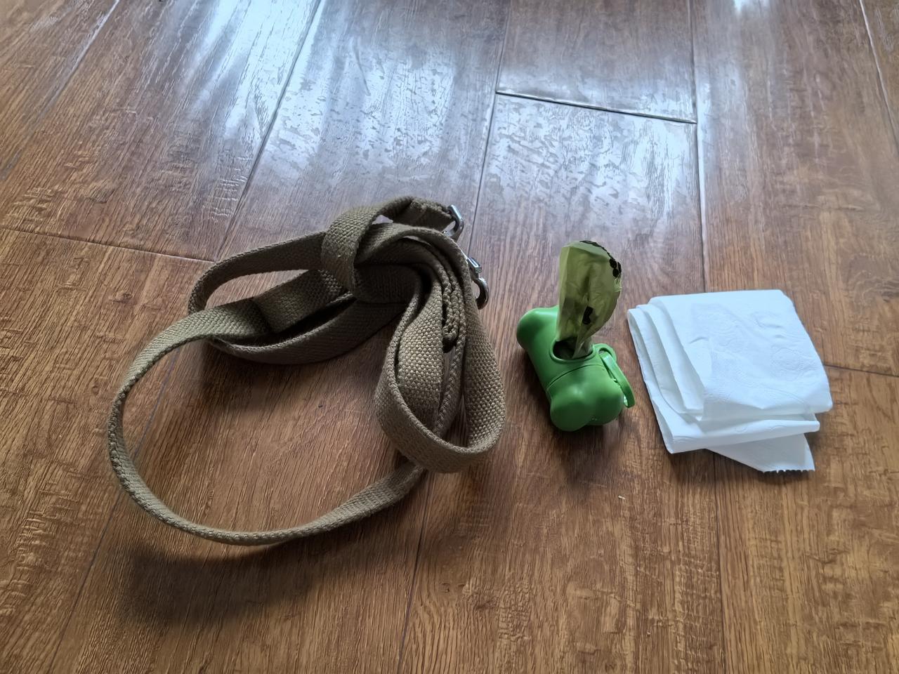 带狗出门遛弯三件套，做个文明养狗人踩狗屎运，我想大家都愿意，出门踩到狗屎，大