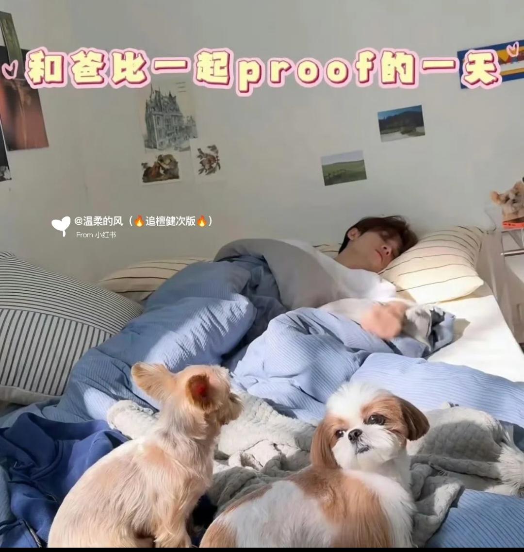 终于要来了，檀健次三专《PROOF》，原来proof风是这样的，才发现檀老师一直