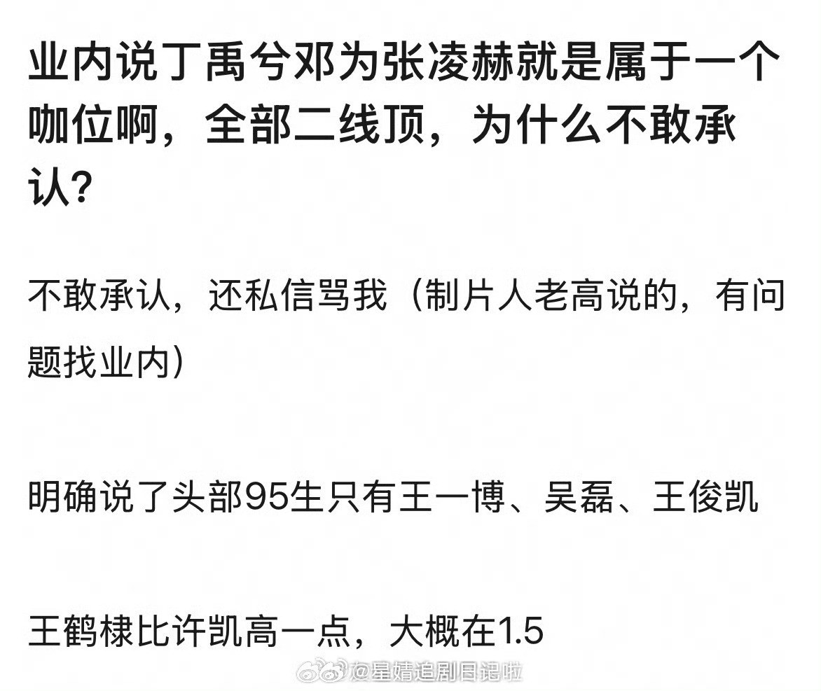 业内说丁禹兮和张凌赫是属于一个咖位，二线顶。头部生是王一博、吴磊和王俊凯，王鹤棣
