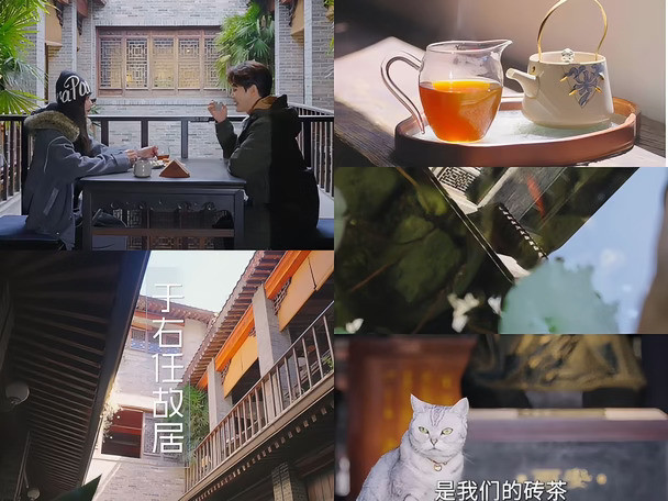 不允许还有人不知道西安是个很浪漫的城市