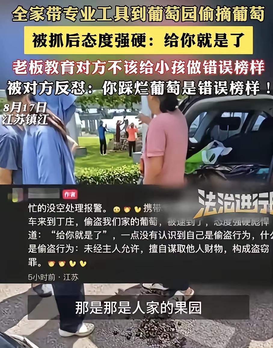 “见过丢人的，没见过一家子组团儿出来丢人的！”看完江苏镇江葡萄园这件事，实在是有