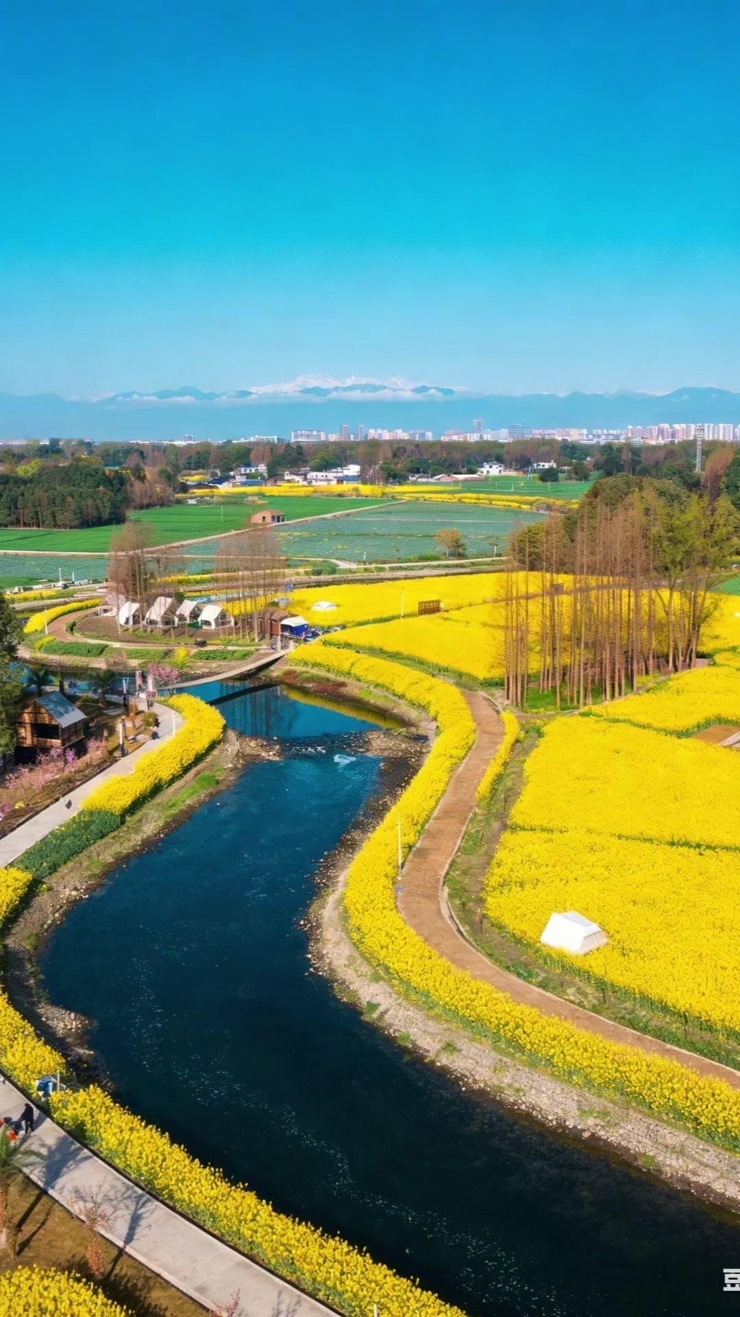 南方的景色真是震撼到我了！南方的美和北方完全不同，那种细腻的水乡风情、独特的建筑