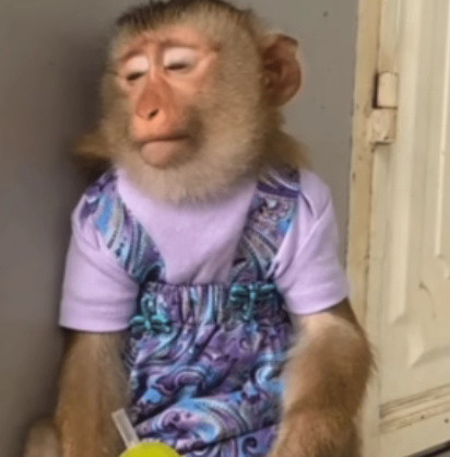 女子跳楼被男友拽5分钟后坠亡男生拼尽全力拽了女友整整5分钟，最后力竭没能留住，自