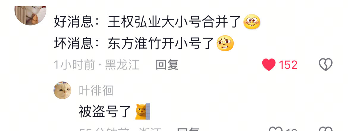 好消息：王权宏业大小号合并了坏消息：东方淮竹被盗号了[笑着哭]淮水竹亭刘诗诗