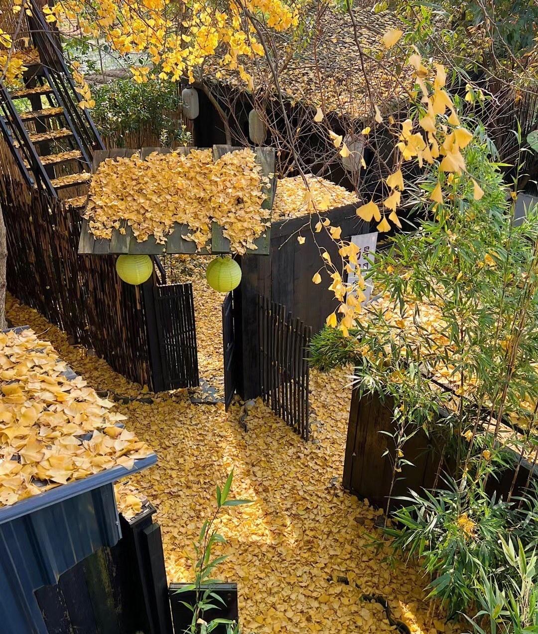 [比心]舒心惬意的小院，老房新改造！从复古到现代，从粗糙到精致，老房子改造赋予了