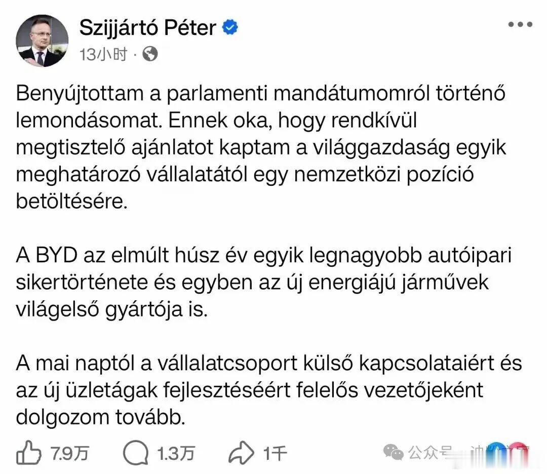 匈牙利前外交部长西雅尔多（PeterSzijjarto）宣布辞去议员职务，加入