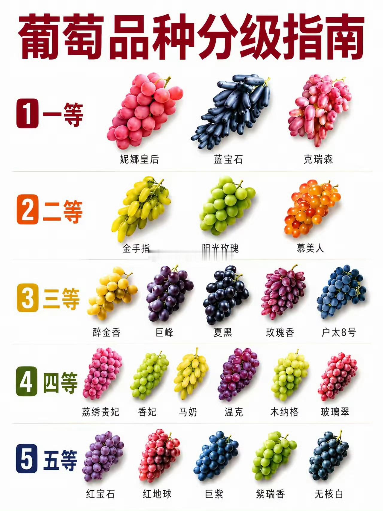各种葡萄品种等级分布，你都见过吗？吃过哪几种？