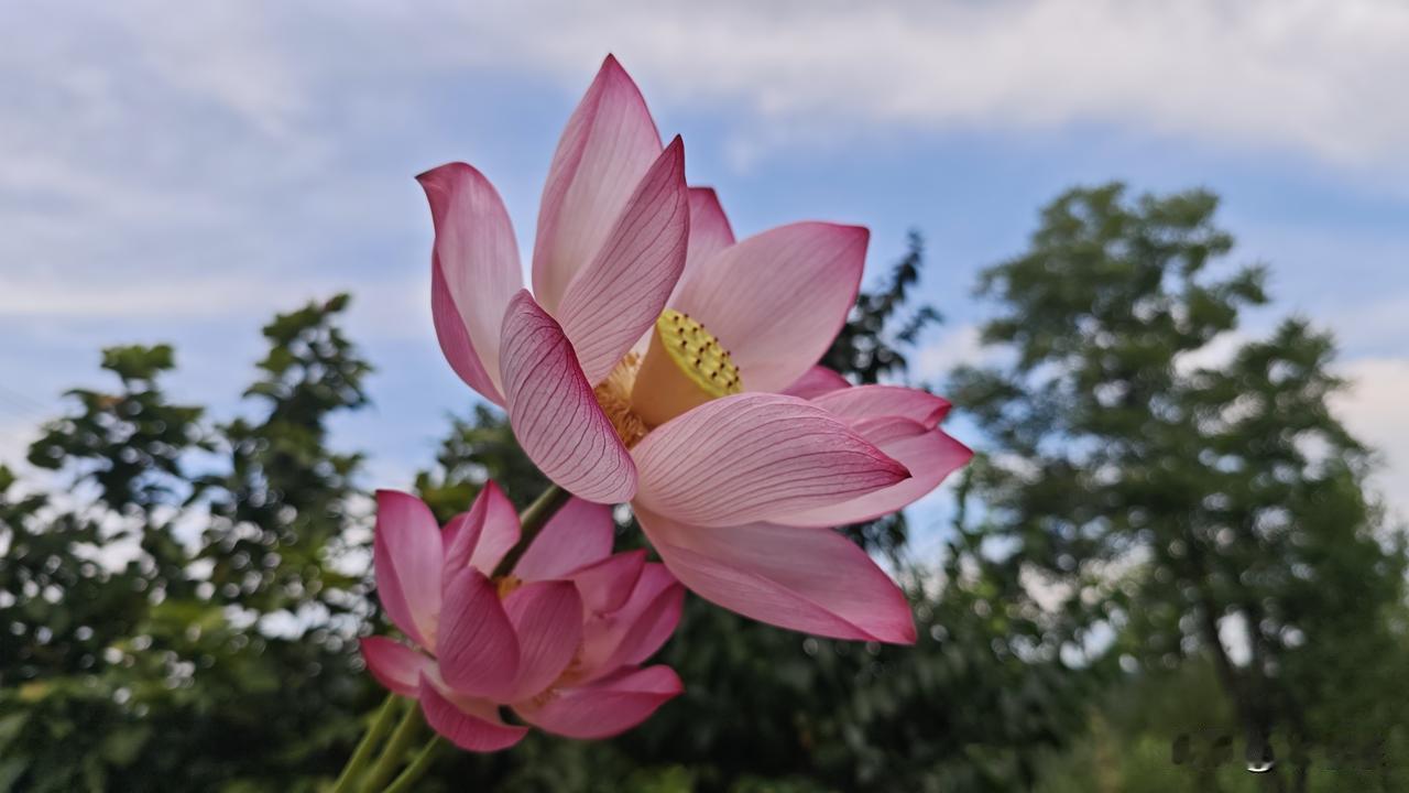 如今这个时代，我们跟人相处，要以和为贵，尽量不结仇怨。尤其是在面对看你不顺眼