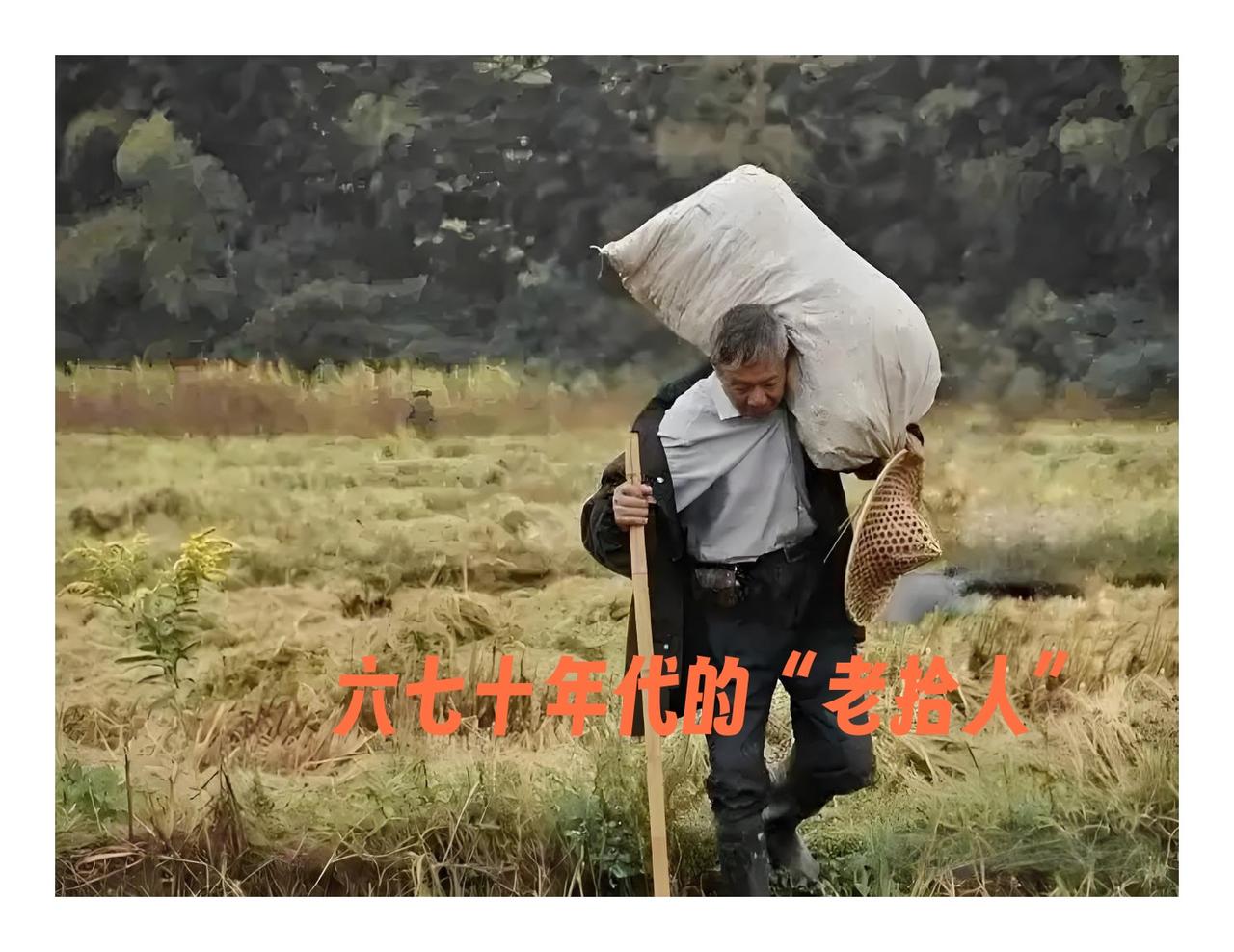 想不到这年头，我还做了回“老拾人”！“老拾人”，这在六七十年代时，还是比较常