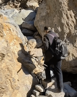 太有毅力了！河北，一81岁老人退休后，为了打发时间，不跳广场舞，不刷手机，花11