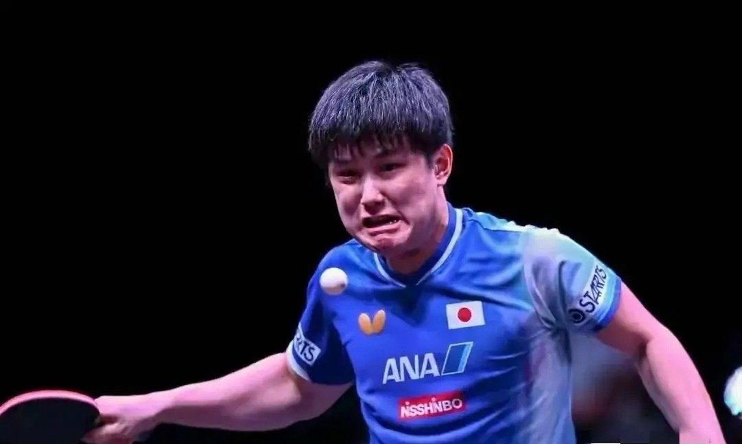 张本智和蛮可怜的世界上大概没有一个乒乓球选手比张本智和更可怜的了，因为他输了球挨
