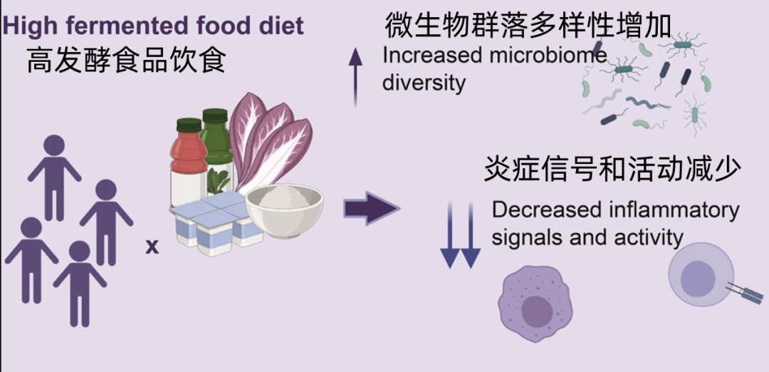 一类被严重低估的食物! 日常吃点, 降低身体多种炎症
