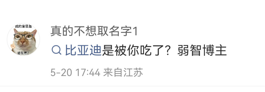 我只是说问界M9重要，我没有说比亚迪不重要，想带节奏就直说。