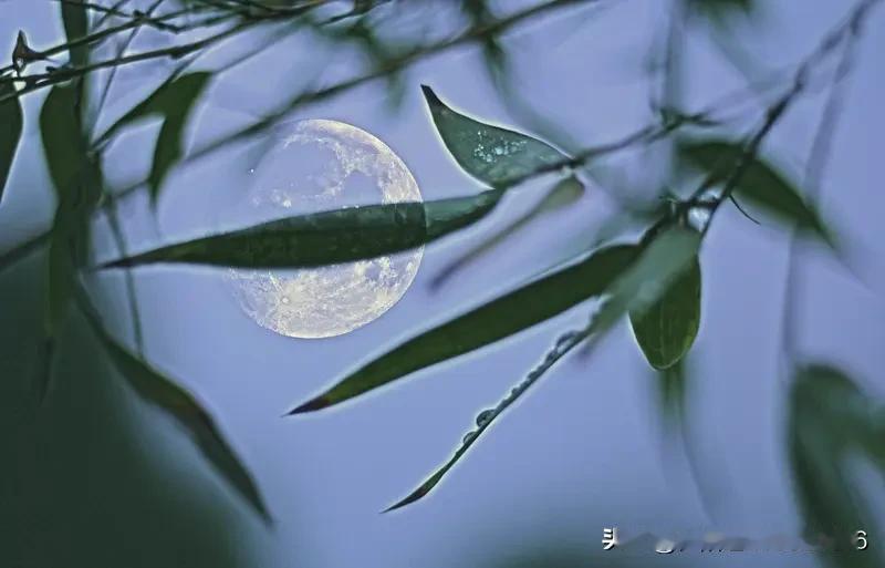 上联:竹影清风摇月色下联:松涛白露隐星光