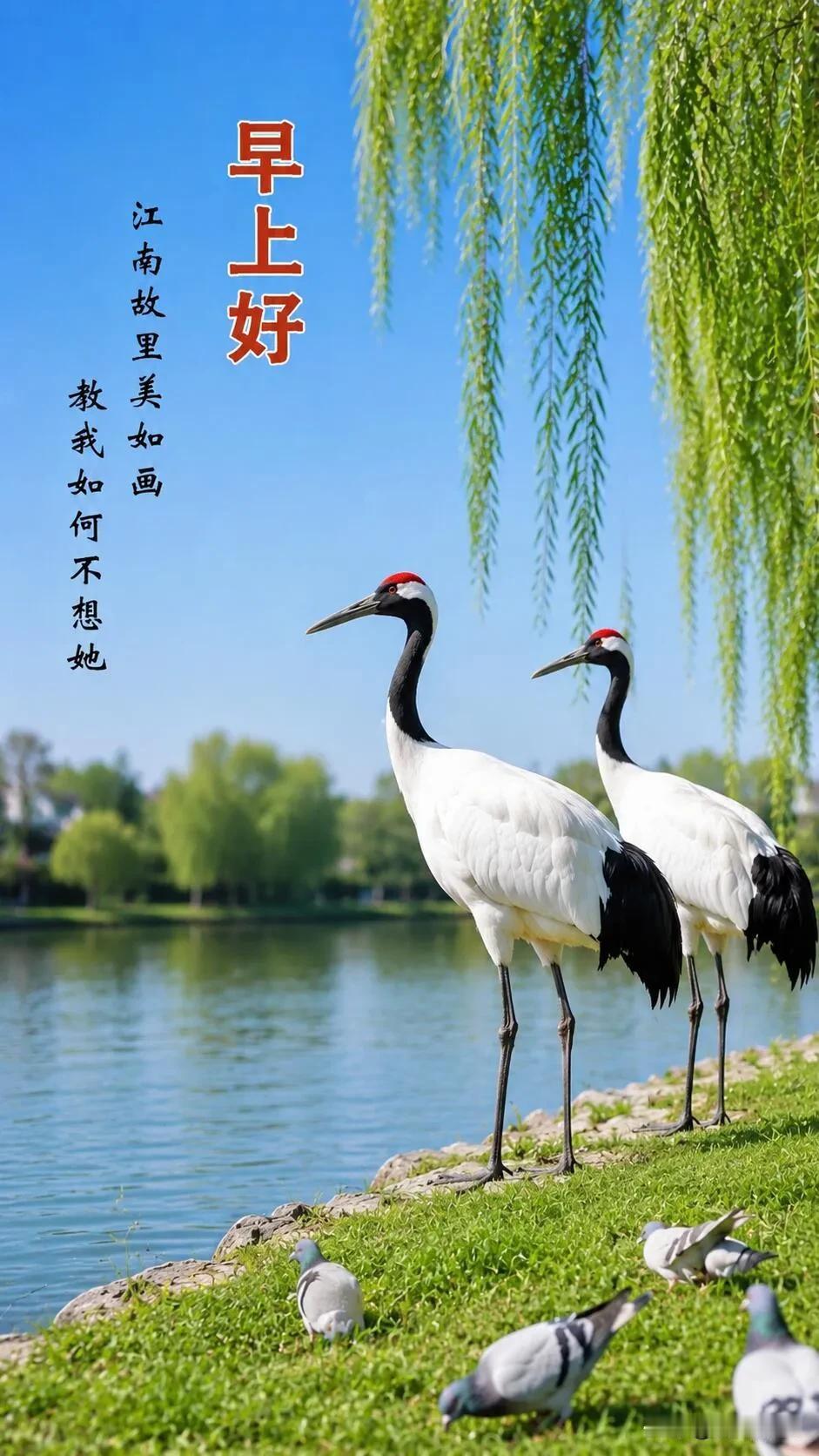  把烦恼留在昨夜，今日只接纳温柔与好运，早上好。