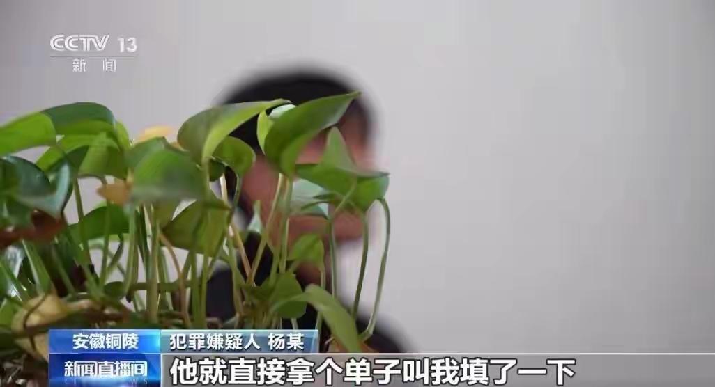 300多人联手骗贷1600万！职业背债人的骗局坑惨银行。央视曝光特大贷款诈骗案！