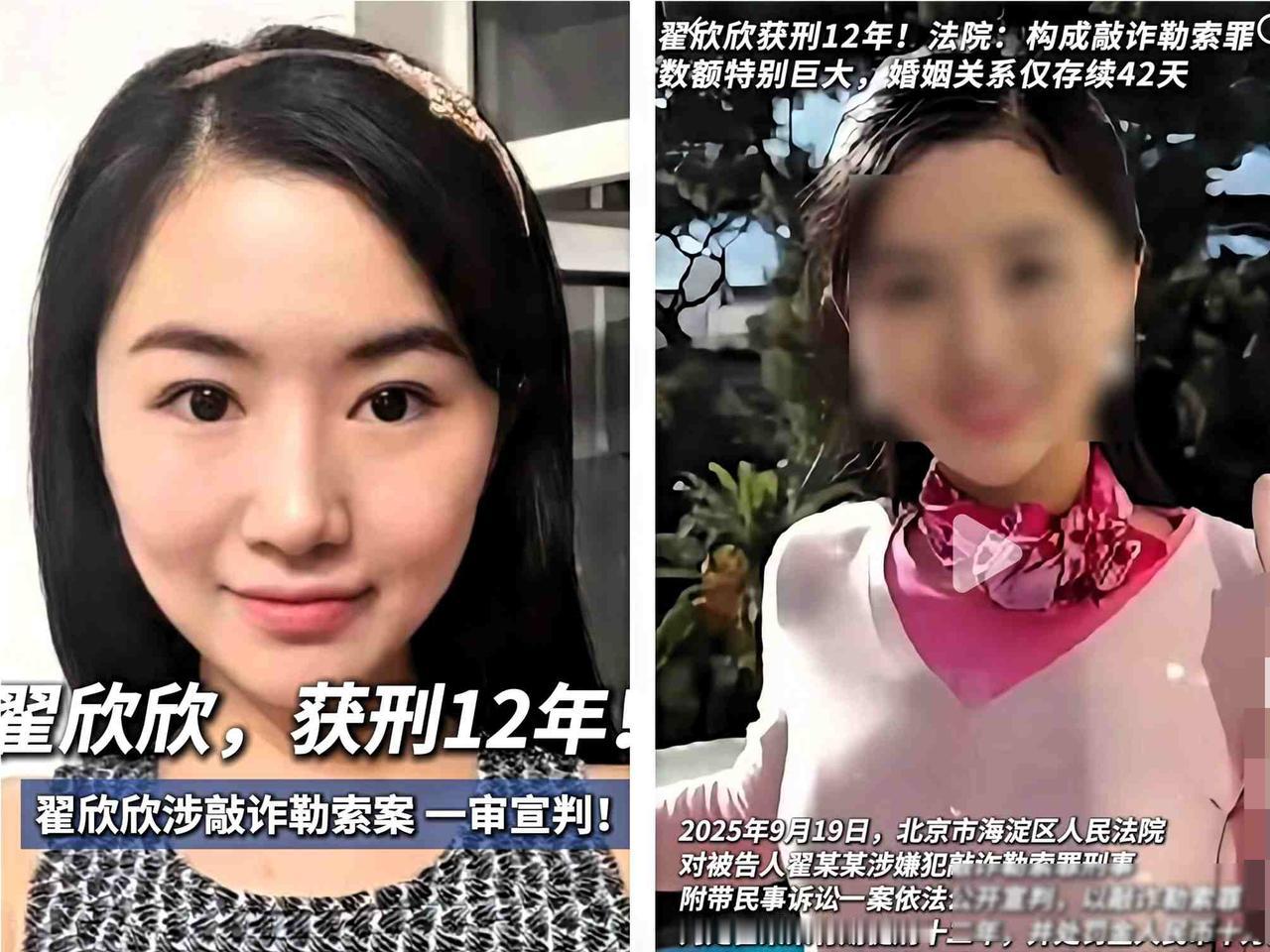 翟欣欣是名牌大学硕士，条件不错，偏偏看上搞软件开发的苏享茂，两人认识不到半年就结