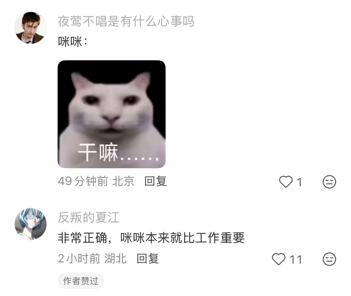 原来小猫知道自己是咪咪