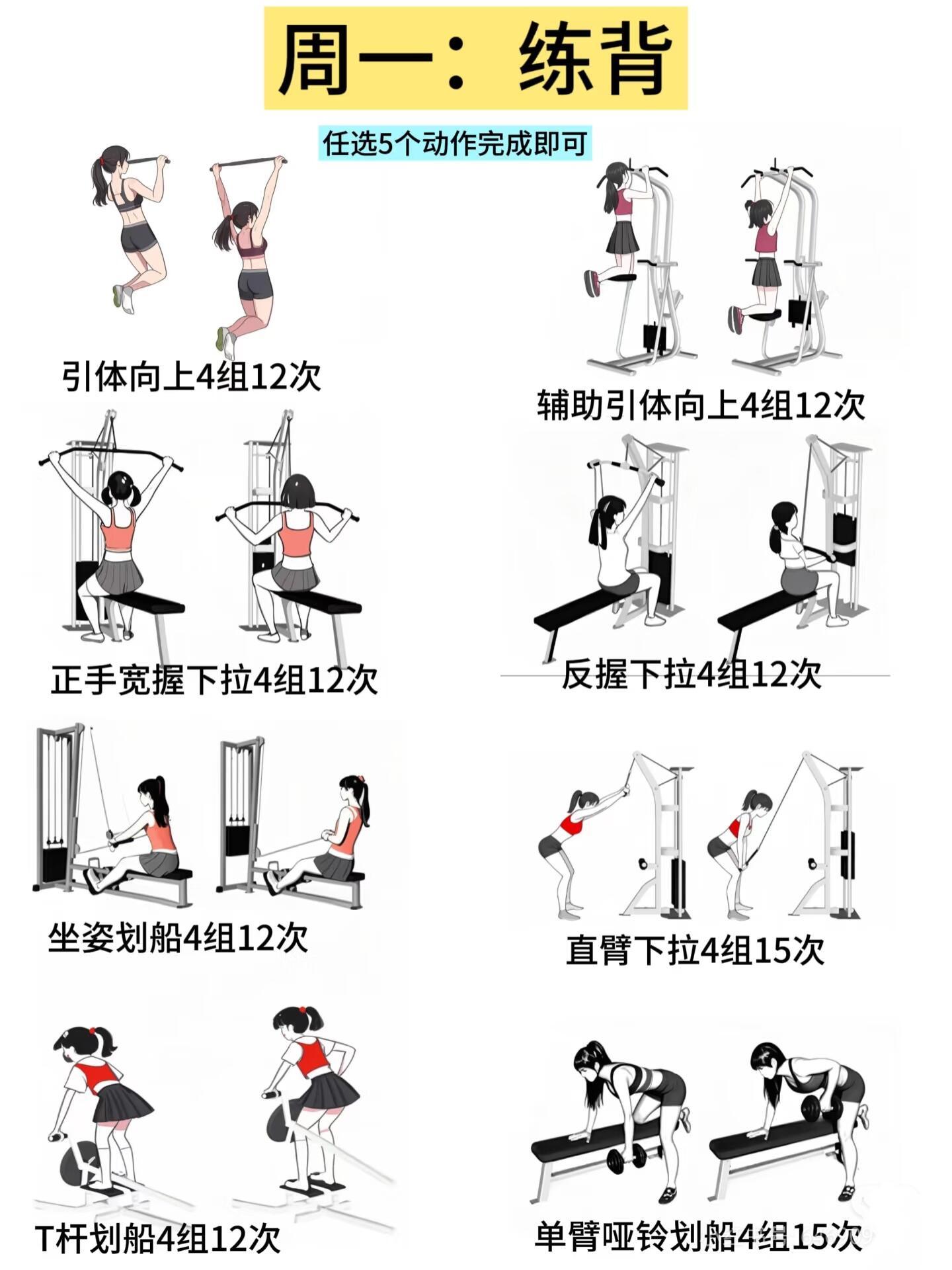 当你脱离私教，✅新手如何安排一周锻炼🏋​​​