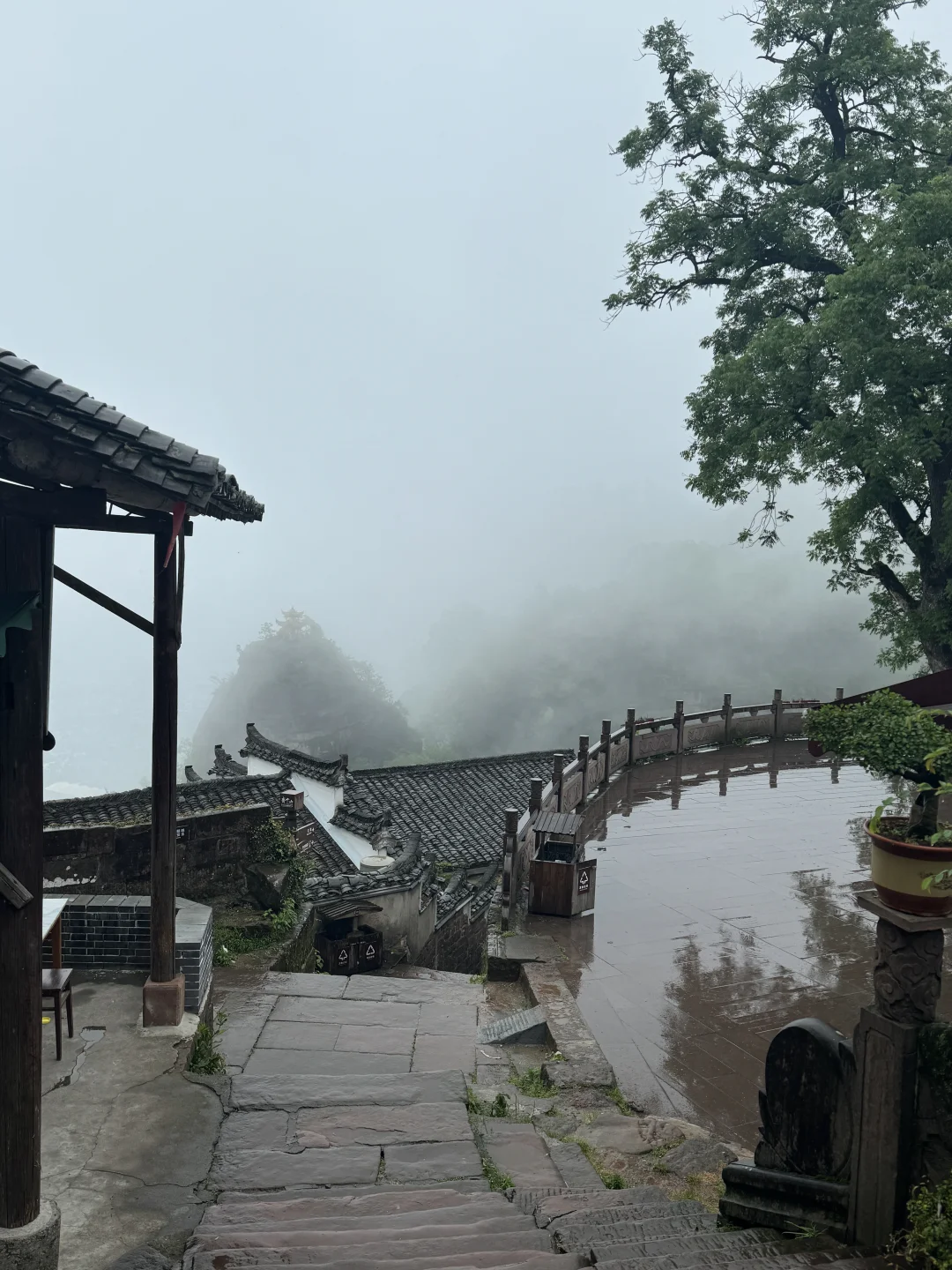 打工人周末修仙⛰️住齐云山