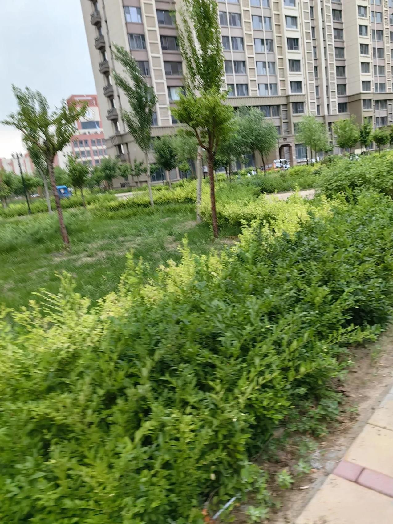 退休生活：都说房子不好卖了，可是，我们这里新楼盘销售特别快。亲家准备买两套新房