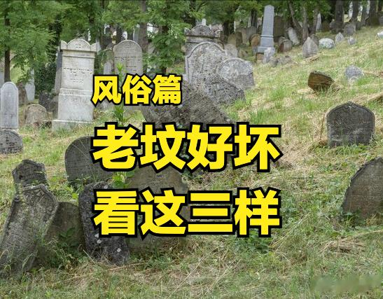 老坟好不好, 主要看3样, 哪3样? 了解下