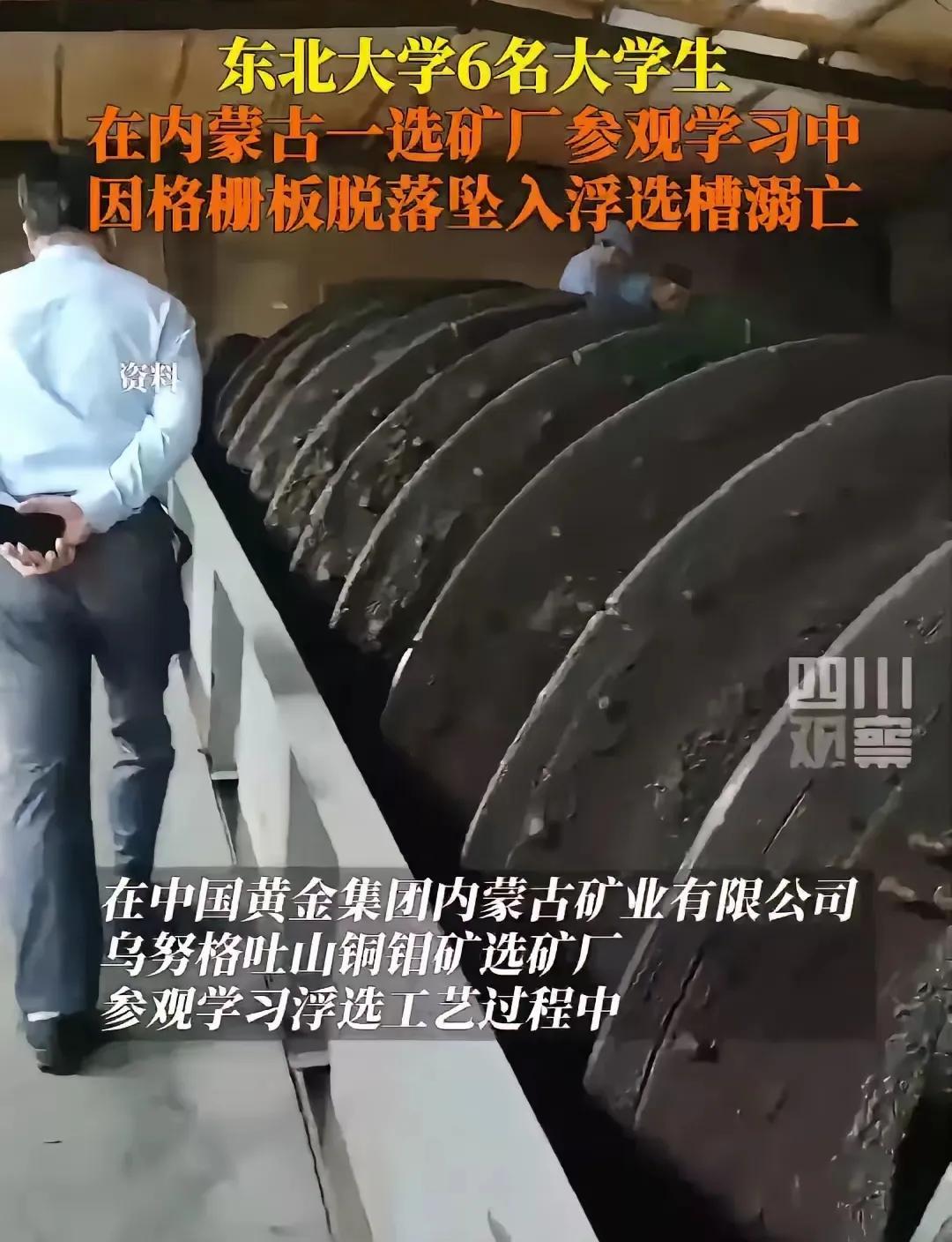 大家千万别点开浮选槽的图片看！看完真能让人心里疼得喘不过气。听同学说，活下来的
