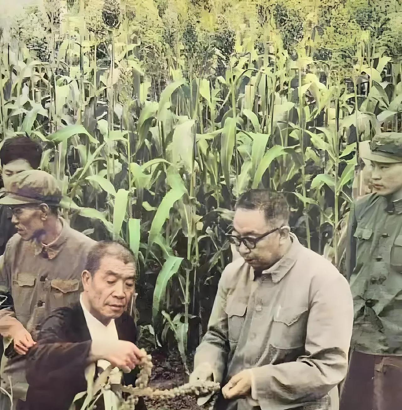 1977年，华国锋和陈永贵在大寨，当年普及大寨县工作座谈会在北京召开，农村的基本