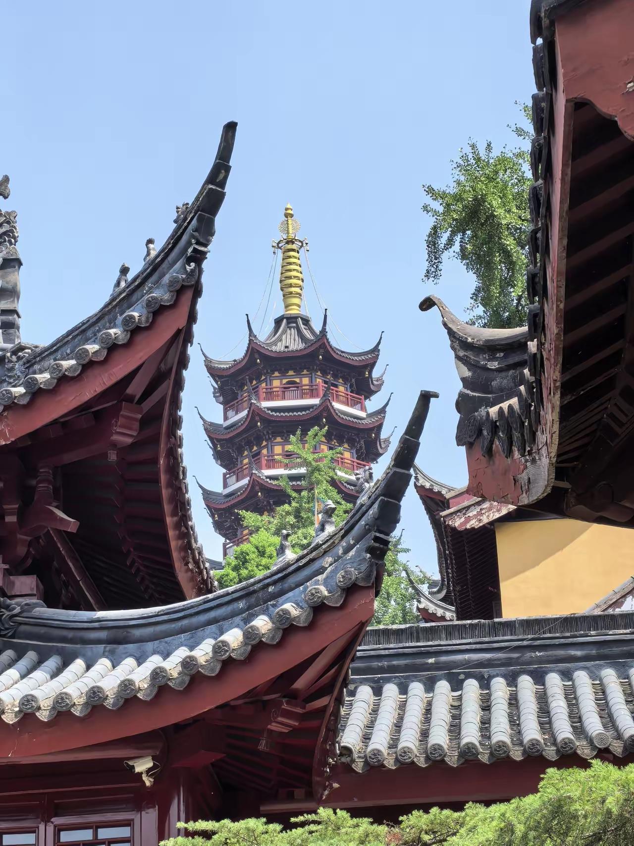 大年初一，饭桌上没提相亲的事。我侄子三十了，没对象。往年亲戚围着他问，今年没