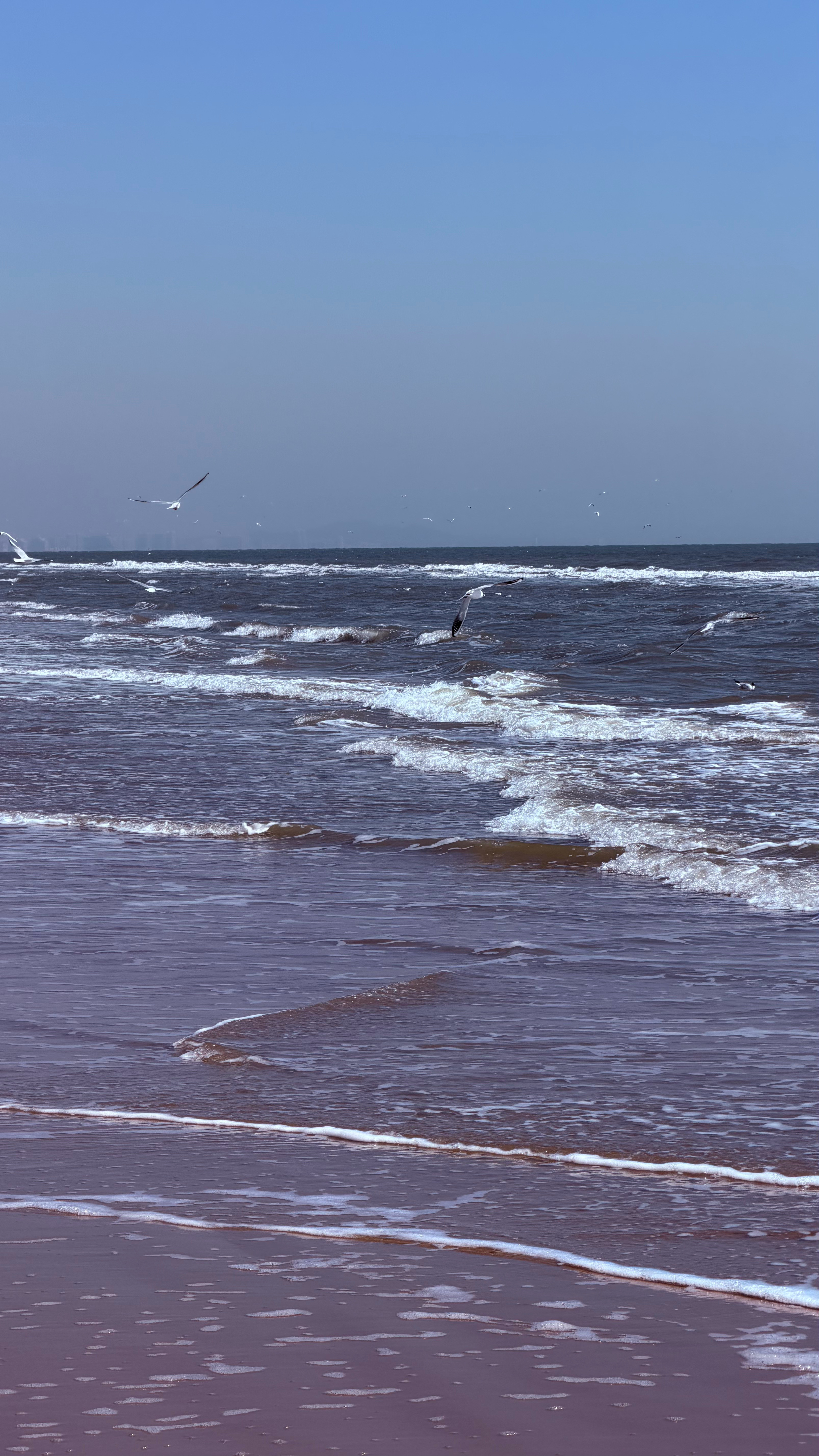 脑袋被吹的嗡嗡的！戴上帽子！穿上羽绒服！人不多！不用排队！人文摄影秦皇岛·阿那