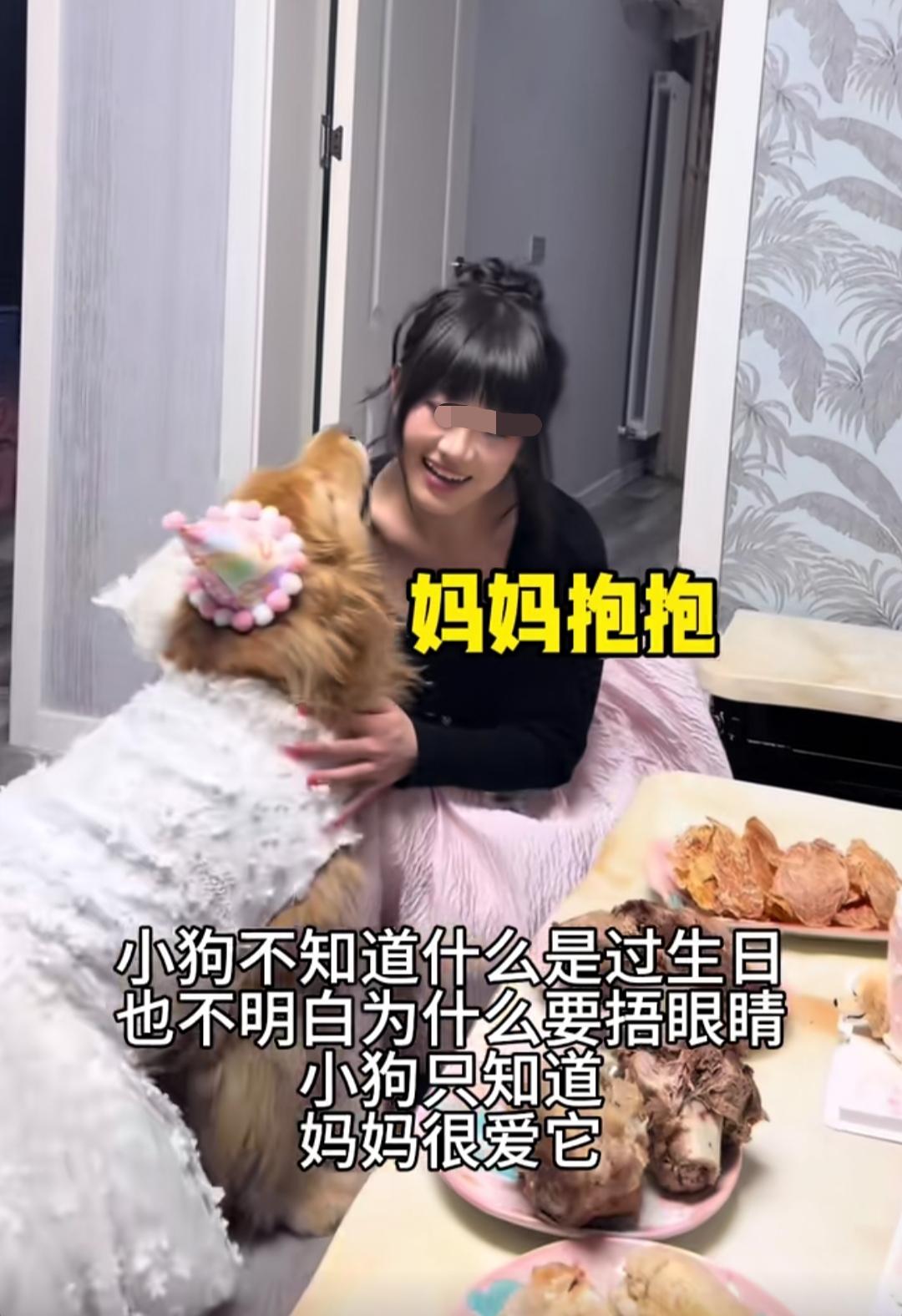 河北美女小姐姐，给自己的爱犬过生日，仪式感直接拉满，所有我们普通人给孩子过生日的
