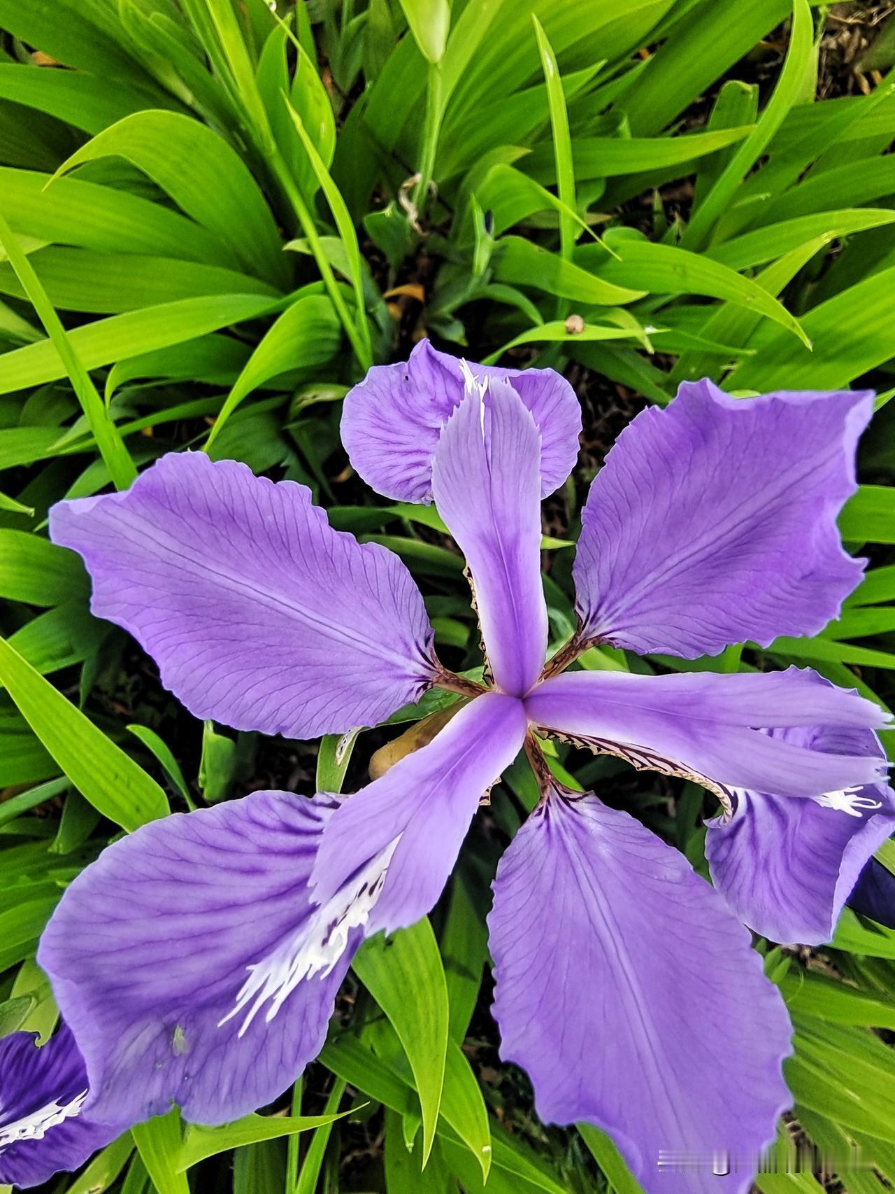 以前医院经常见，收受红包很泛滥。特别以前大医院，主刀医生最关键。病人家属