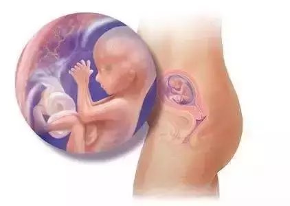 这5种食物对胎宝宝的健康发育造成伤害, 准妈妈应该要远离