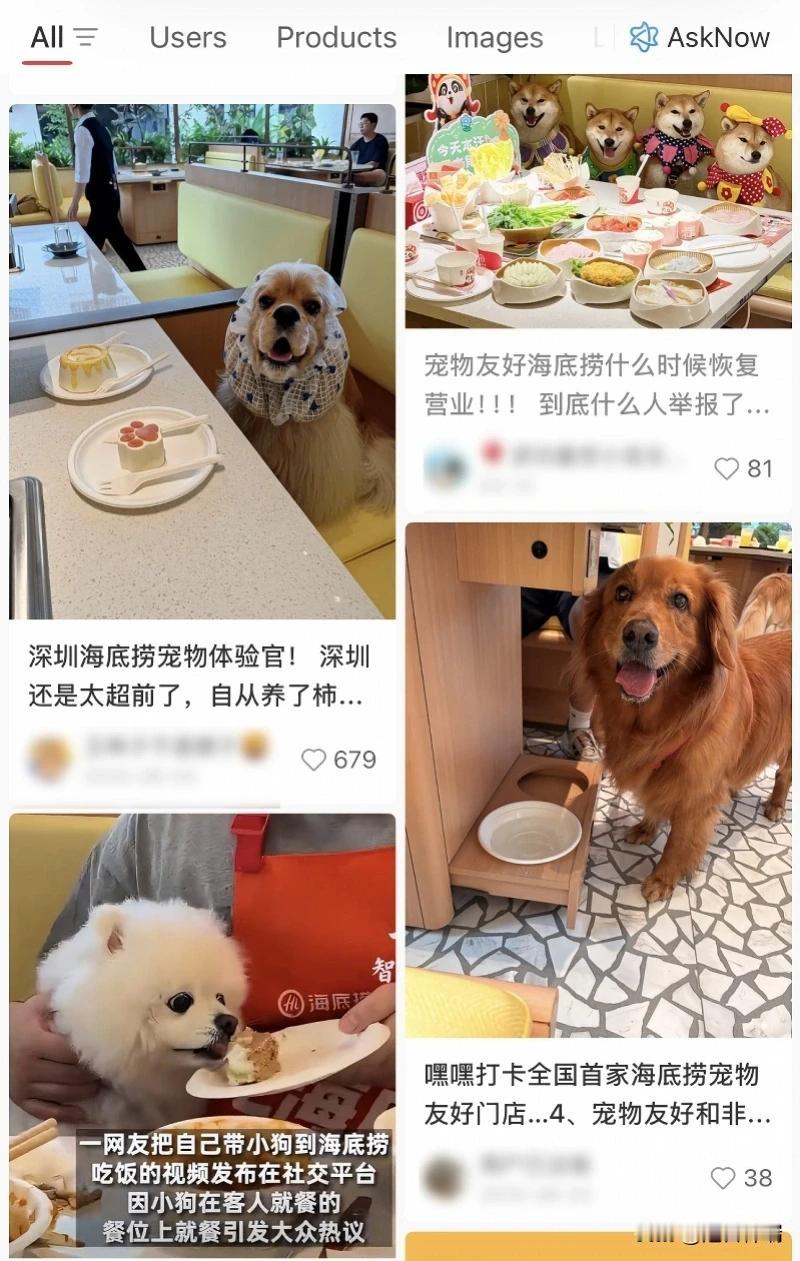 5月26号下午，海底捞干一件事，把三家宠物友好餐厅全关了，以后全国所有门店，顾客