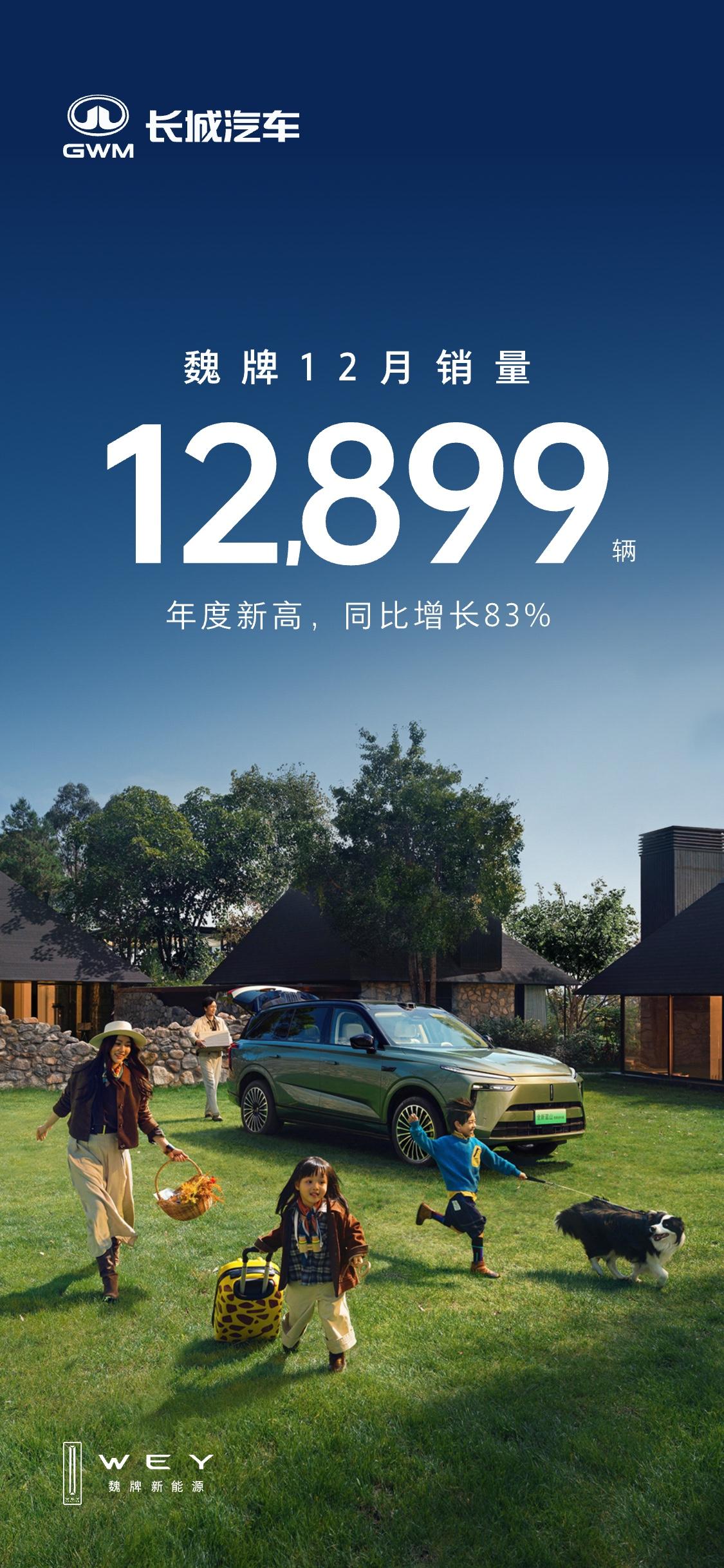 刚看到魏牌高山12月销量数据，拿下双冠这事儿确实让我有点意外，倒不是惊讶自主品牌