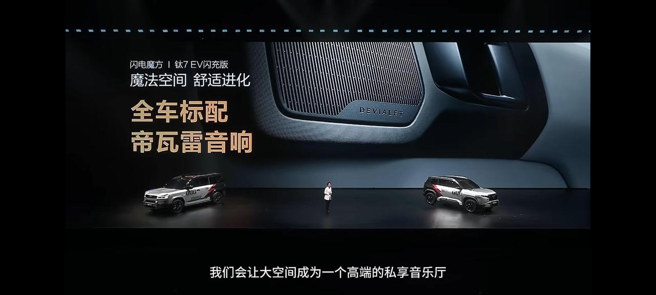 全车标配帝瓦雷，我真的要忍不住了。不过，应该是贴牌的，用的是笛子供应