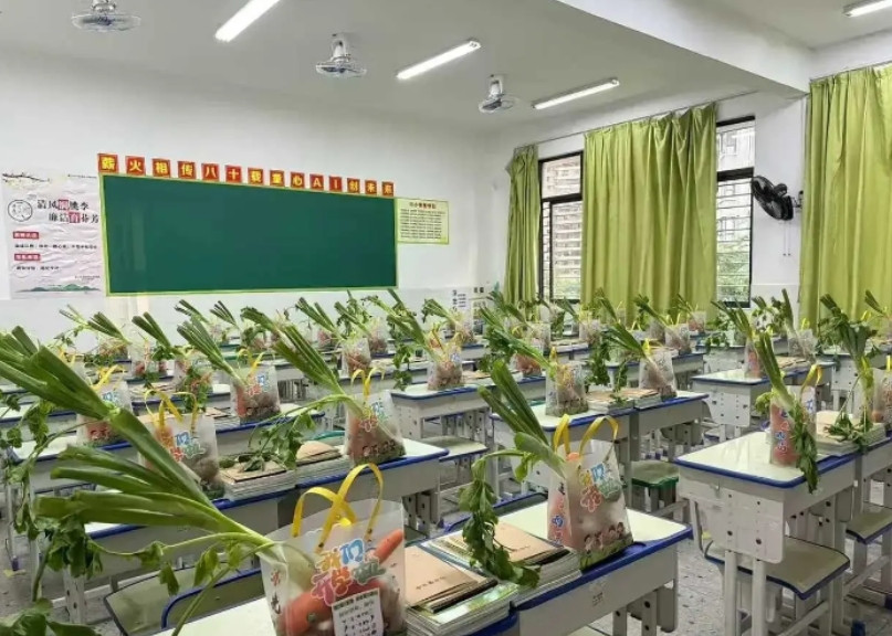 作为一名教师，我非常讨厌这样的行为。
