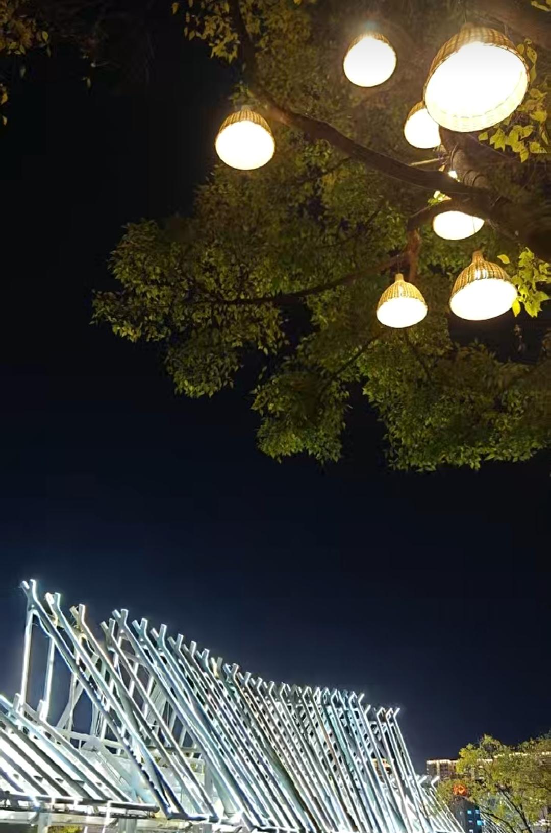 这几天，昆明白天阳光灿烂、生机勃勃，夜色来临后更是星光闪耀，美轮美奂。走上翠湖