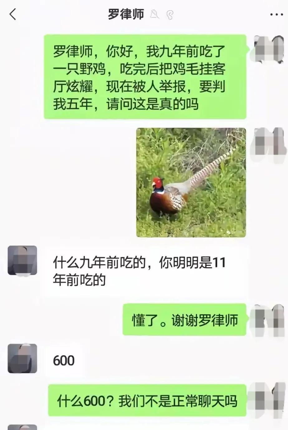 该怎么回复既不让律师当对方律师又不用给钱？在线等。